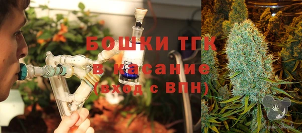 ГАЛЛЮЦИНОГЕННЫЕ ГРИБЫ Алексин