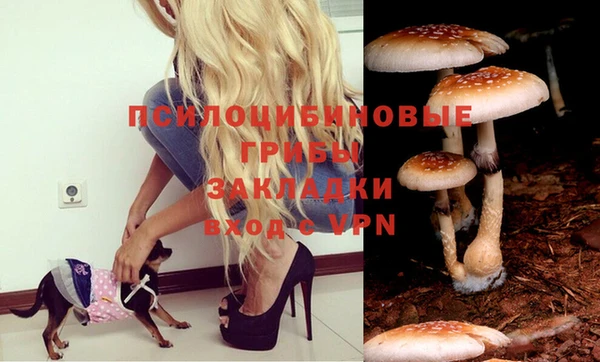 гашиш Алексеевка