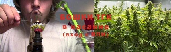 ГАЛЛЮЦИНОГЕННЫЕ ГРИБЫ Алексин