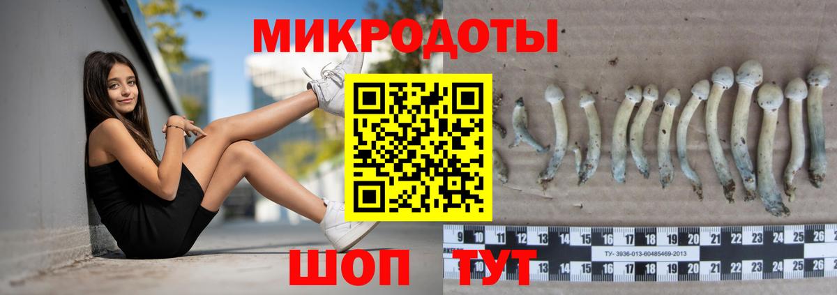 Псилоцибиновые грибы мицелий  Вход с VPN  Тайшет 